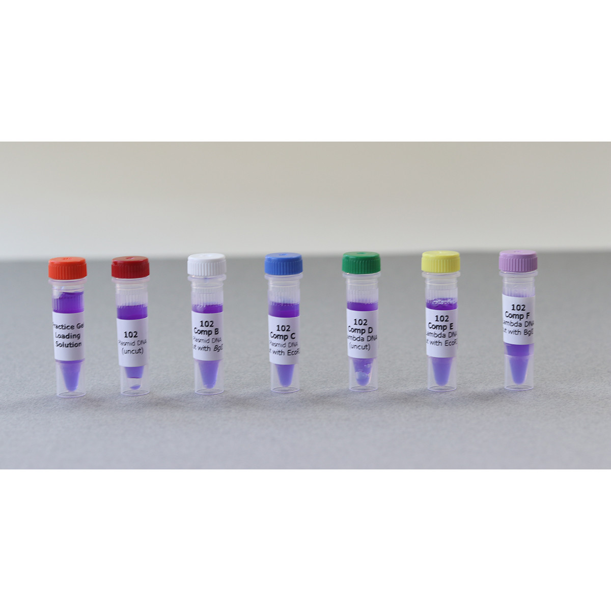 Classroom Kit Restriction Enzyme Cleavage Of Plasmid And Lambda Dna Adia Inc